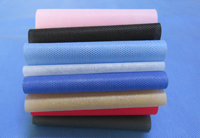 清河涤纶（PET）无纺布是什么